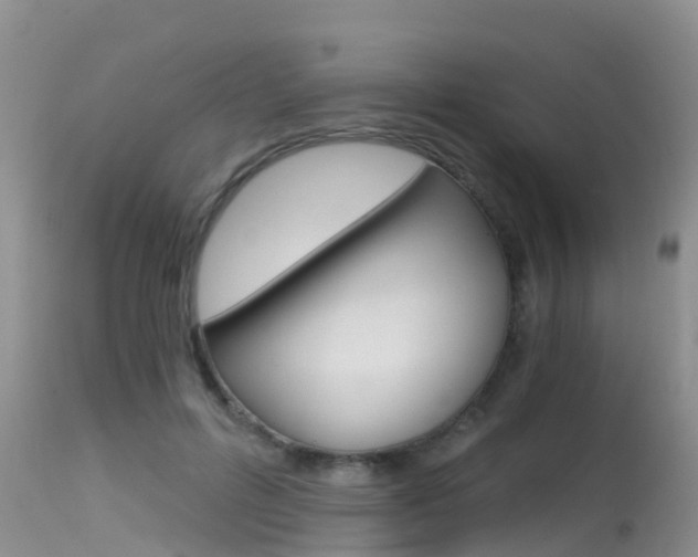 X0000115480600200911061026
