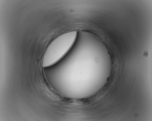 X0000115480601200911061026