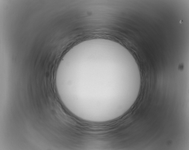 X0000115480605200911061026