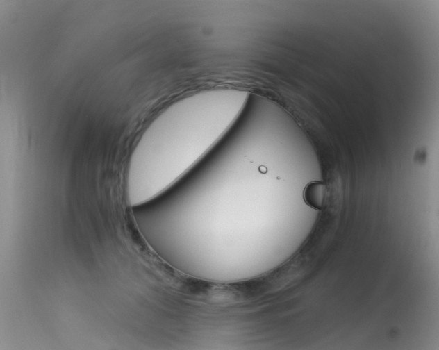 X0000115480608200911061026