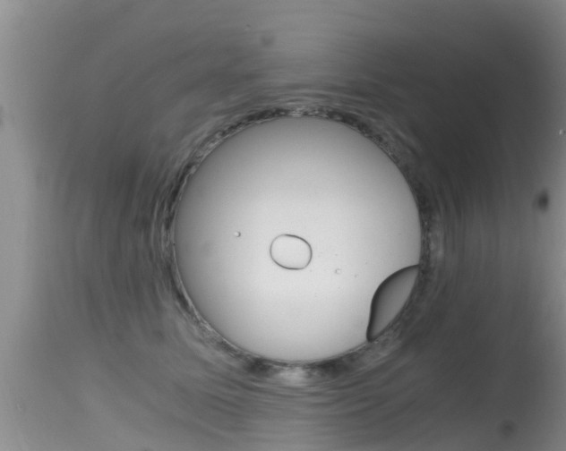 X0000115480611200911061026