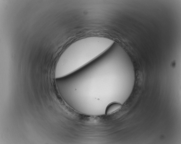 X0000115480612200911061026