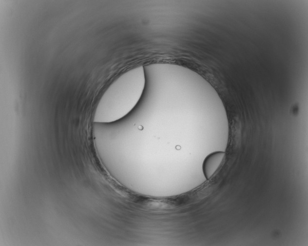 X0000115480614200911061026