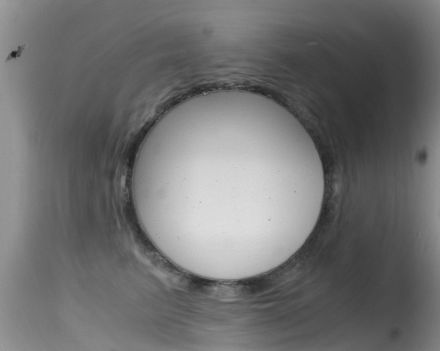 X0000115480615200911061026