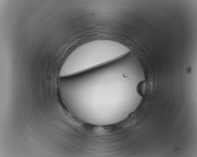 X0000115480616200911061026