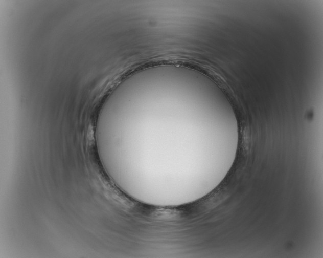 X0000115480617200911061026