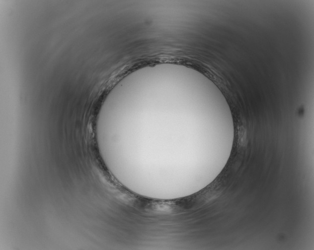 X0000115480618200911061026
