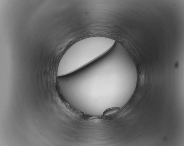 X0000115480620200911061026