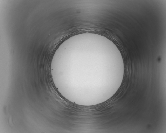 X0000115480621200911061026
