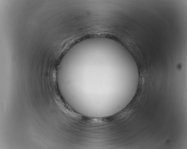 X0000115480623200911061026