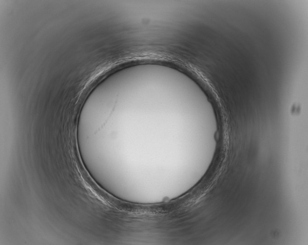 X0000115480625200911061025