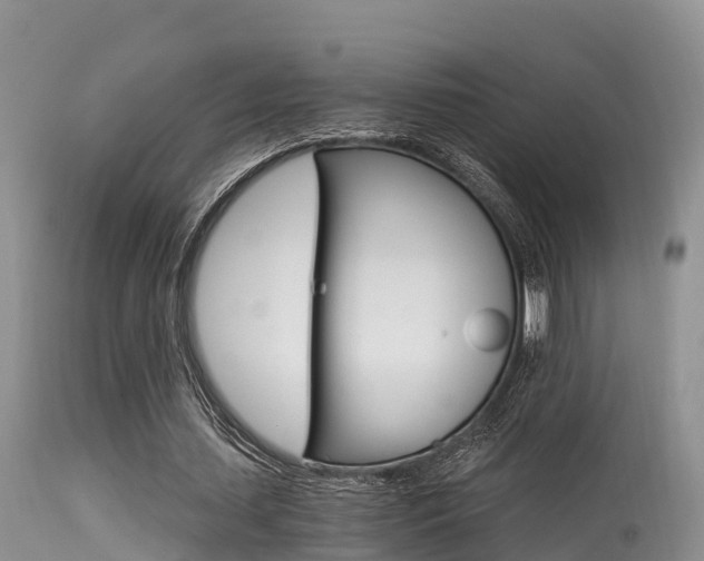 X0000115480627200911061025