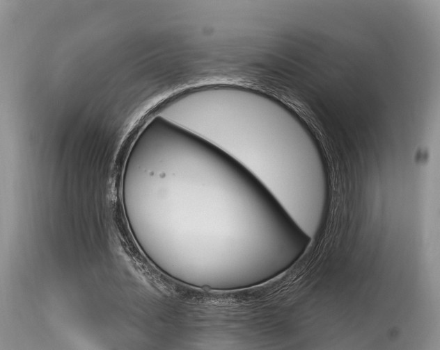X0000115480628200911061025