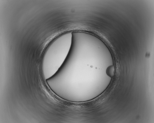 X0000115480629200911061025