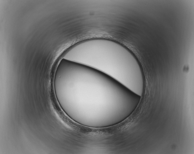 X0000115480630200911061025