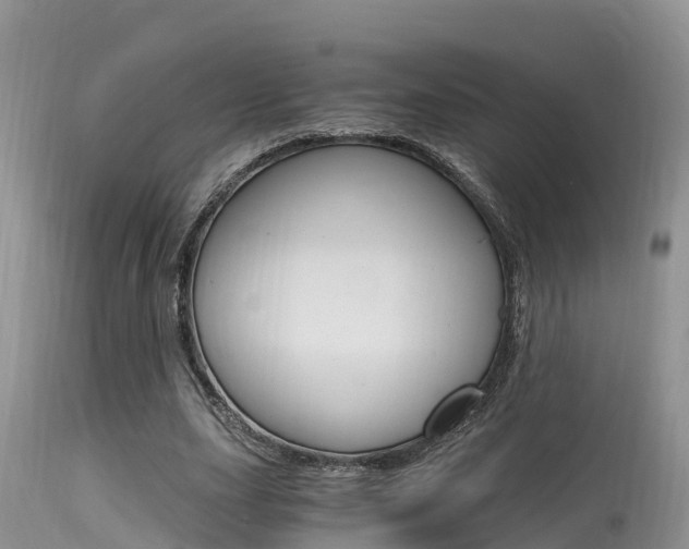 X0000115480631200911061025