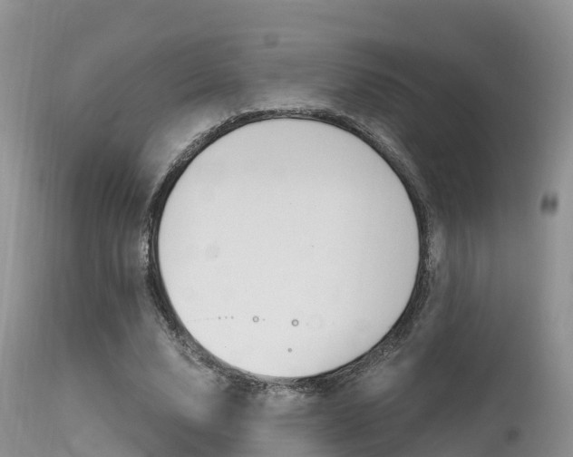 X0000115480632200911061026