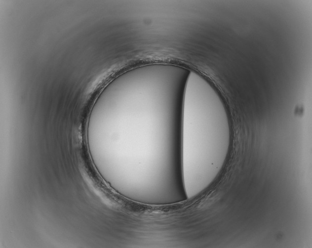 X0000115480634200911061026