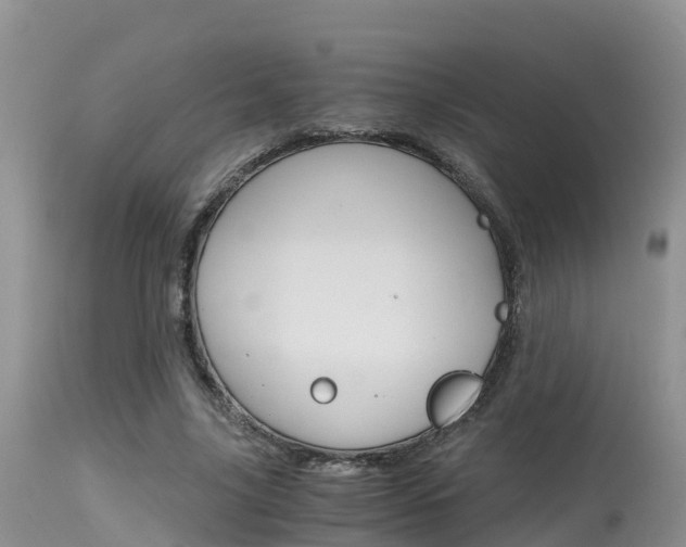 X0000115480635200911061026