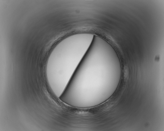 X0000115480637200911061026