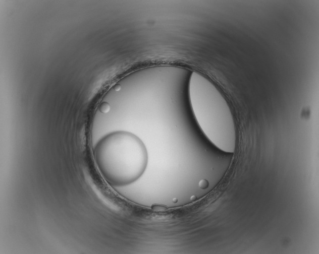 X0000115480638200911061026