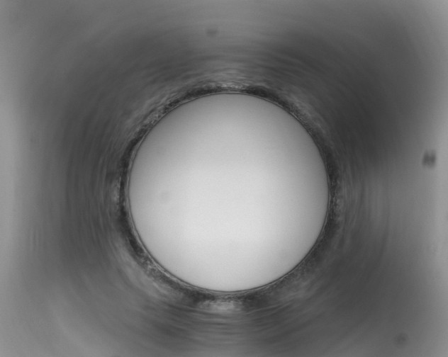 X0000115480639200911061026