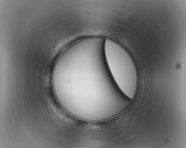X0000115480640200911061026
