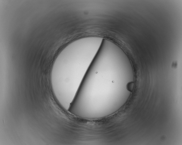X0000115480641200911061026