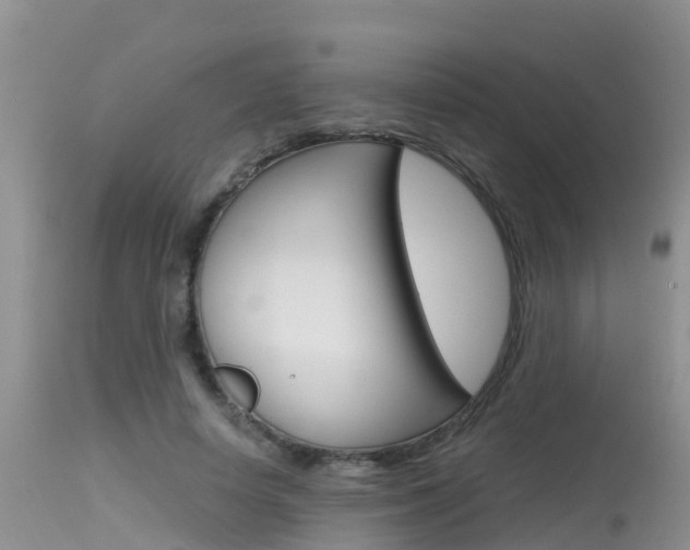 X0000115480642200911061026