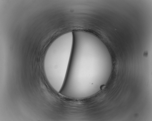 X0000115480643200911061026