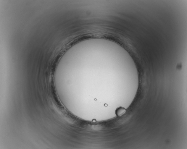 X0000115480645200911061026