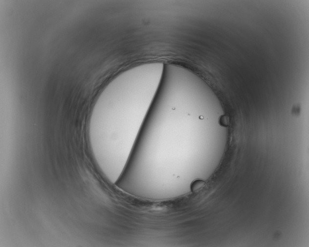 X0000115480647200911061026