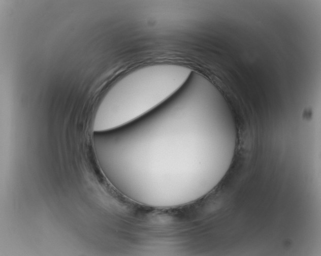 X0000115480648200911061026