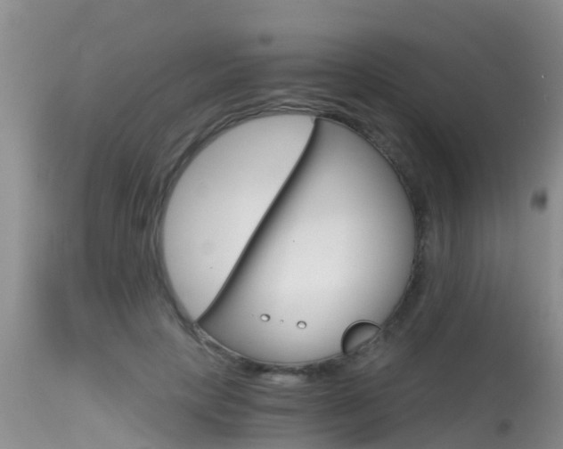 X0000115480649200911061026