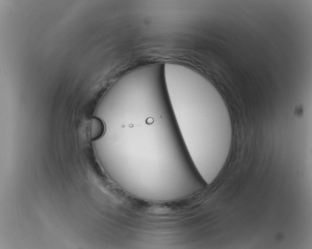 X0000115480650200911061026