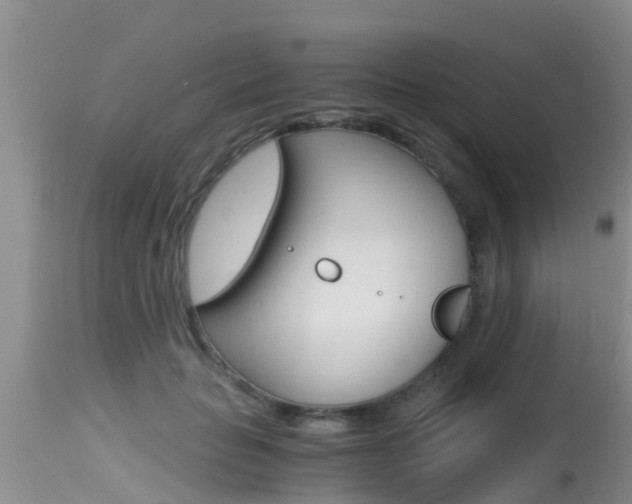 X0000115480653200911061026