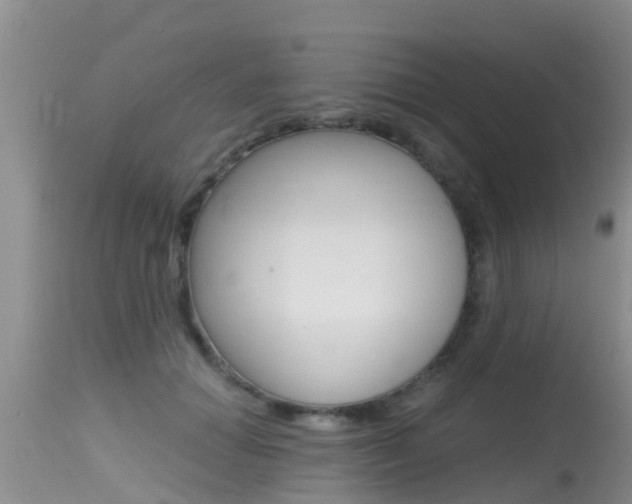 X0000115480654200911061026