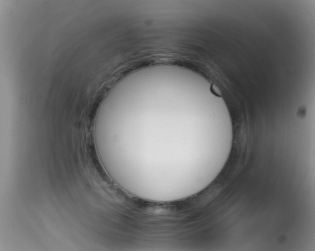 X0000115480655200911061026