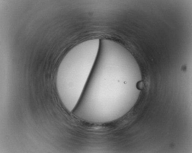 X0000115480657200911061026
