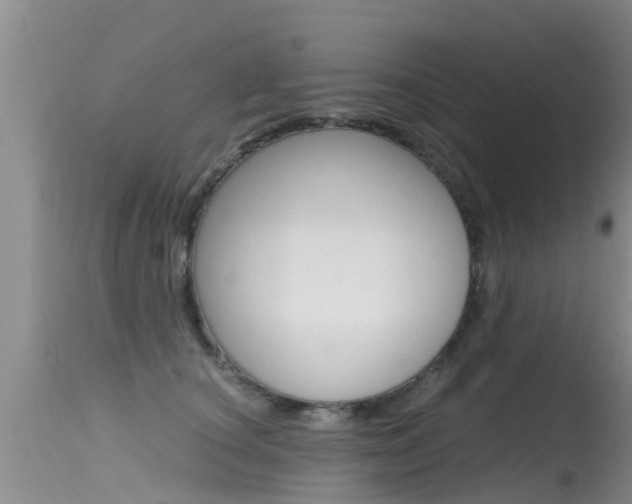 X0000115480660200911061026