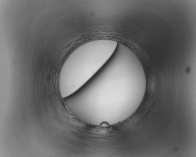 X0000115480661200911061026