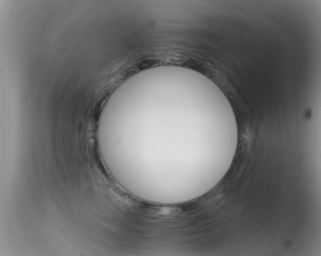 X0000115480663200911061026