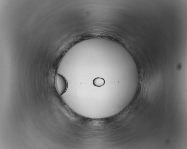 X0000115480664200911061026