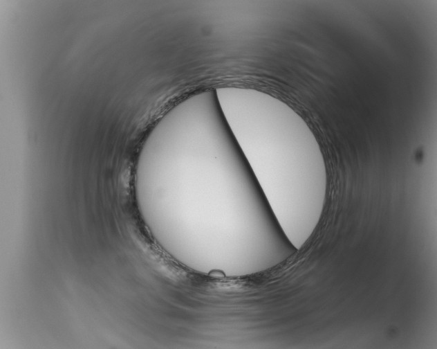 X0000115480668200911061026
