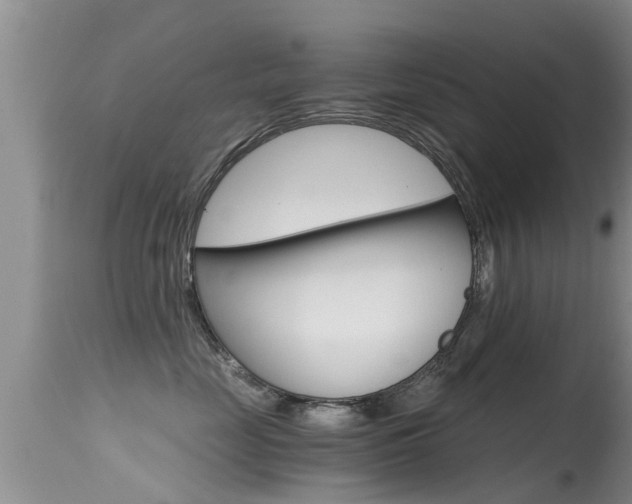X0000115480669200911061026