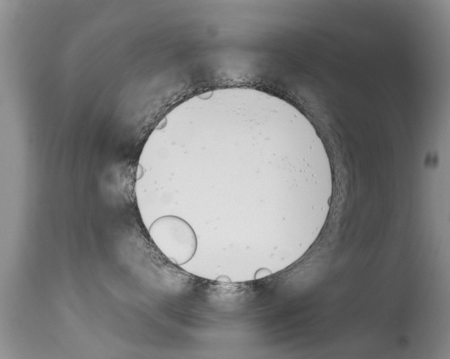 X0000115480672200911061026
