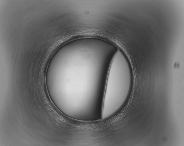 X0000115480673200911061025