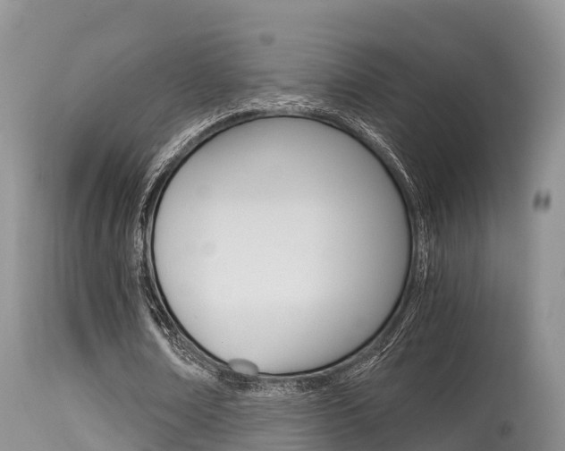 X0000115480674200911061025