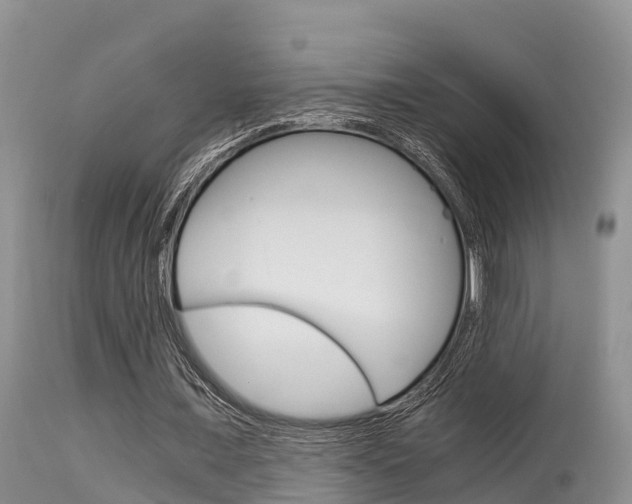 X0000115480675200911061025