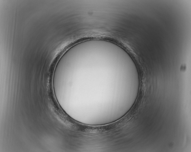 X0000115480679200911061025